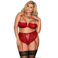 Lace Bra Set Intimate Lingerie