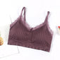 Lace Sexy Bra Women Underwear