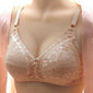 Push Up Bra Sexy Lace Bras