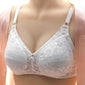 Push Up Bra Sexy Lace Bras