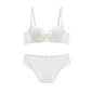 Fashion embroidery bras underwear women set