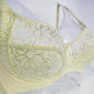 Lace Perspective Bra For Womens