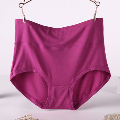 High Waist Women Underwear Bamboo