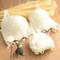 Women Underwear Set Cotton Bra